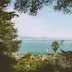 Oakland