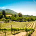 Healdsburg