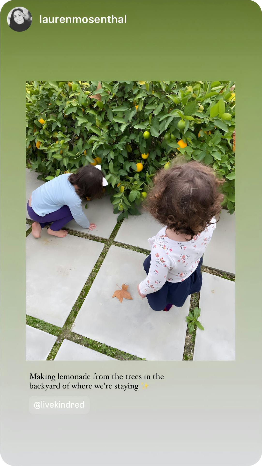 Making lemonade from the trees in the backyard of where we’re staying, thanks to Kindred. Our kids love exploring and picking fresh fruit in this beautiful outdoor space. Kindred’s home swaps offer unique, family-friendly experiences that make every stay special.