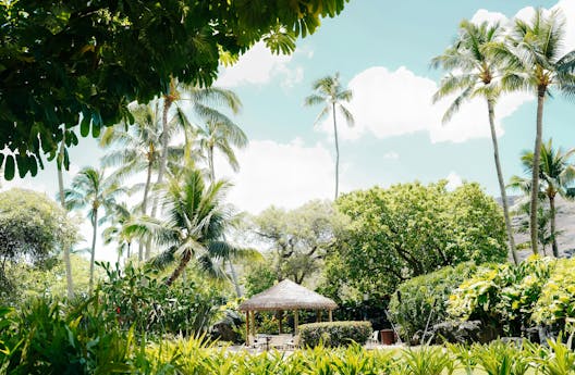 Lush tropical garden in Honolulu with palm trees and a thatched-roof gazebo, showcasing a serene Kindred home swapping option for just $23 per night.
