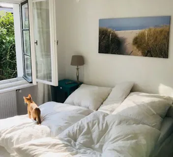Cozy bedroom in a pet-friendly Kindred home swap, with a curious cat gazing out the window. Enjoy stress-free travel with your pet in welcoming homes that understand the needs of pet parents.