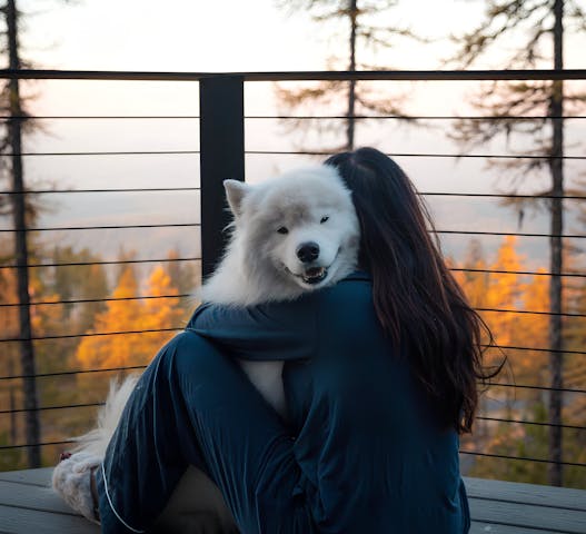 Emotional bond between a pet and owner captured in a Kindred home swap. Safe, pet-friendly homes that make traveling with your furry family members feel just like home.