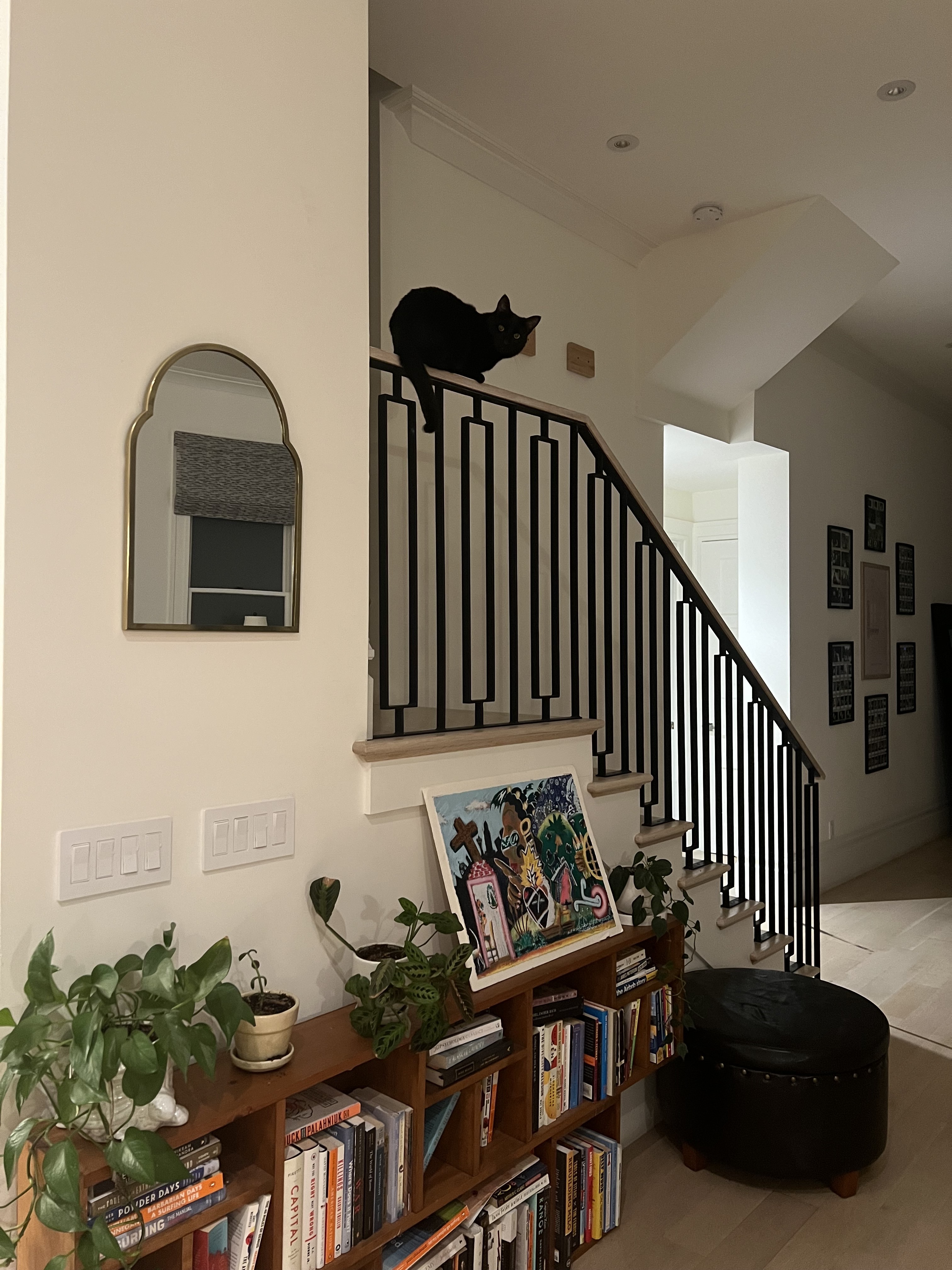 Curious black cat perched on a stair railing in a Kindred home, offering pet-friendly accommodations that allow pets to explore new environments safely. Ideal for pet parents searching for homes that welcome all types of pets, ensuring comfort and adventure for your furry companions.