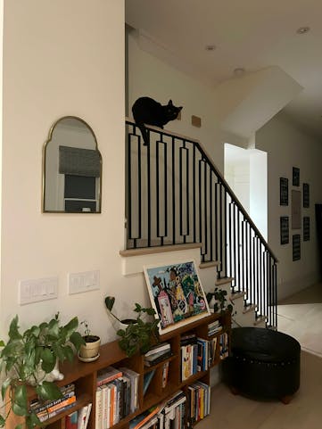 Curious black cat perched on a stair railing in a Kindred home, offering pet-friendly accommodations that allow pets to explore new environments safely. Ideal for pet parents searching for homes that welcome all types of pets, ensuring comfort and adventure for your furry companions.