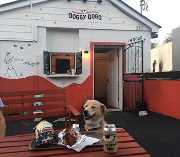 Dog enjoying a meal at a trendy pet-themed café during a Kindred home swap. Explore vibrant local communities that embrace pets, offering unique dining experiences for you and your furry friends. Perfect for pet lovers seeking destinations where their pets are as welcome as they are.