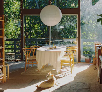 Sunlit dining space with forest views and cozy dog-friendly atmosphere, ideal for house exchange vacations.