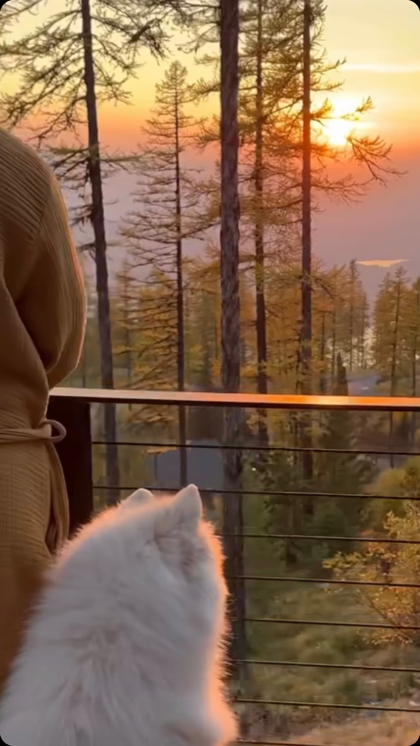 Explorez de nouvelles destinations avec votre chien et profitez d'un week-end convivial et adapté aux animaux grâce au service d'échange de maisons de Kindred. Découvrez le confort d'une maison loin de chez vous et reposez-vous en toute tranquillité en sachant que notre programme d'échange de maisons fiable vous offrira un séjour sûr et sécurisé.